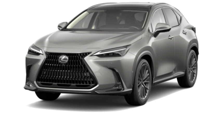 NX350 H