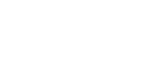 Logo Lexus Experience