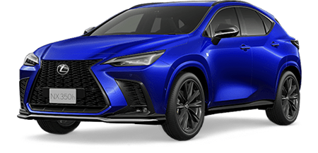 NX350 H